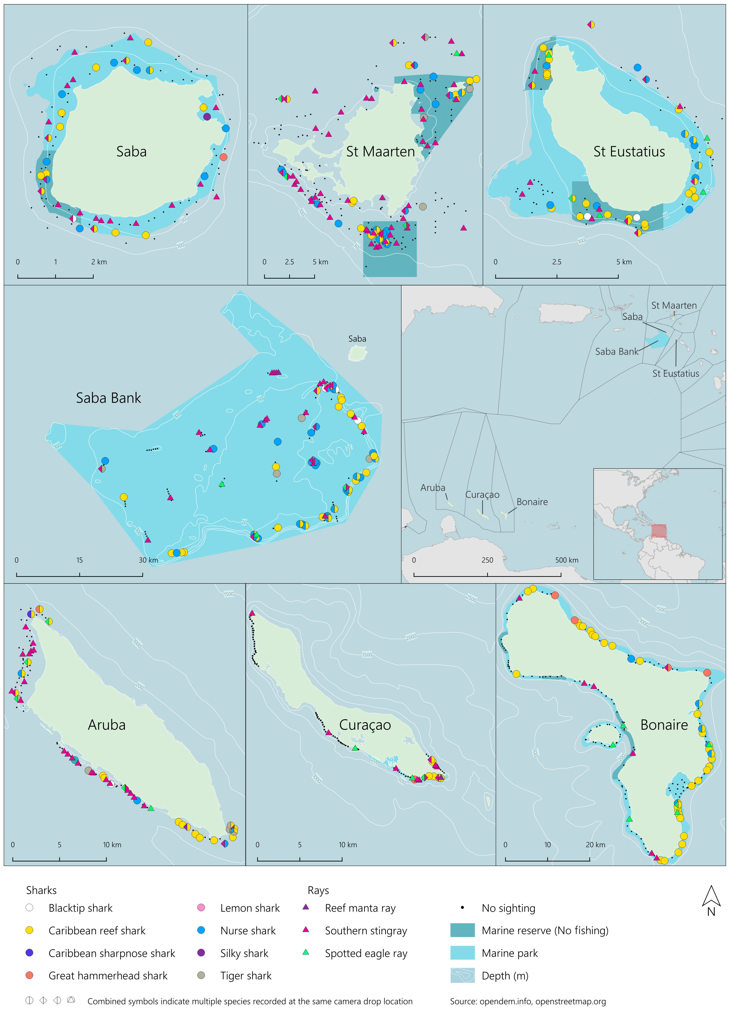 Marine Predator Spatial Dynamics